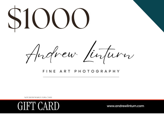 Andrew Linturn Fine Art Gift Card