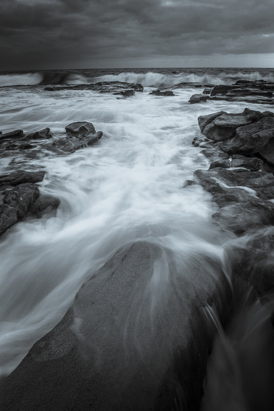 Salty Tide