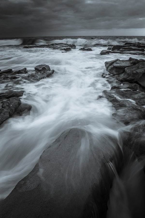 Salty Tide